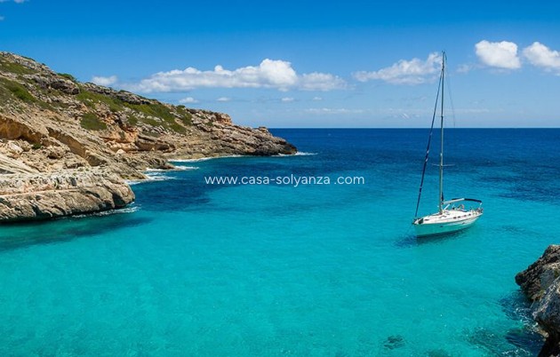 New Build - Bungalow - San Miguel de Salinas