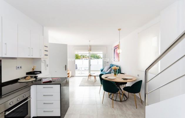 Neue Gebäude - Stadthaus - Torrevieja