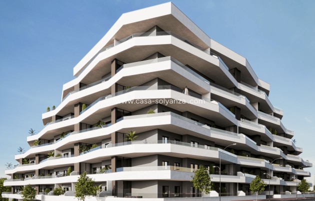 Neue Gebäude - Wohnung - San Miguel de Salinas