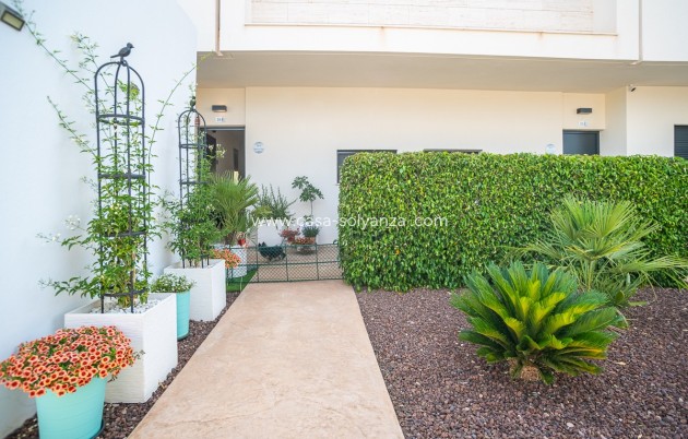 Reventa - Apartamento / piso - Pilar de la Horadada - Costa Blanca