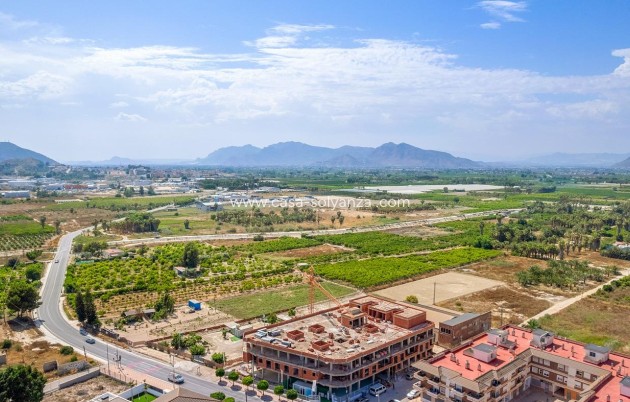 Nouvelle construction - Appartement - Jacarilla - pueblo