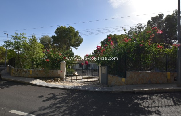 Revente - Country Property/Finca - Algorfa - Montemar