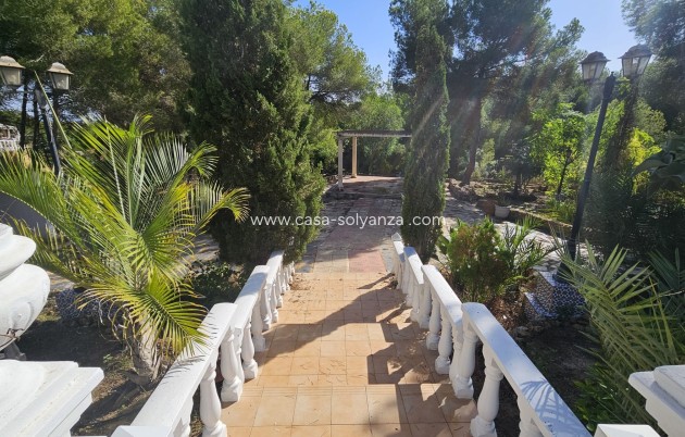 Revente - Country Property/Finca - Algorfa - Montemar