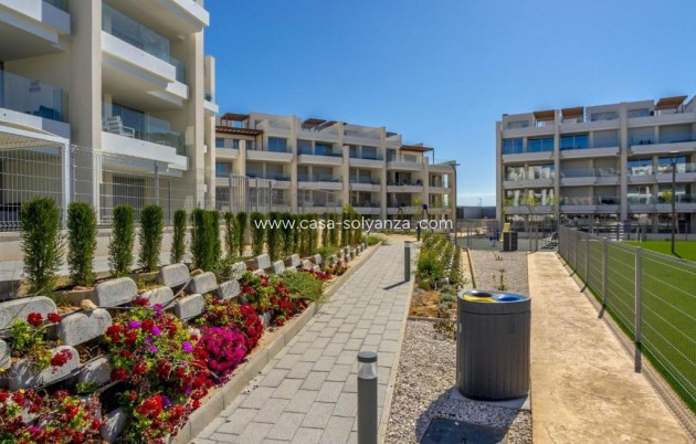Revente - Appartement - Villamartin - Los Dolses