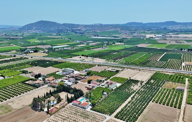 Wiederverkauf - Stadthaus - Los Desamparados