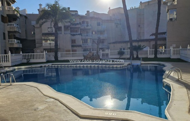 Revente - Appartement - Torrevieja - Center