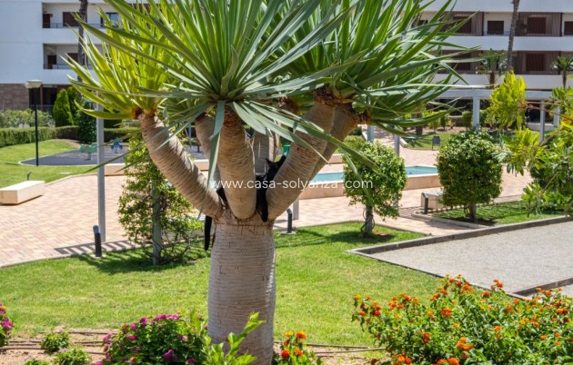 Wiederverkauf - Wohnung - Orihuela Costa - Costa Blanca