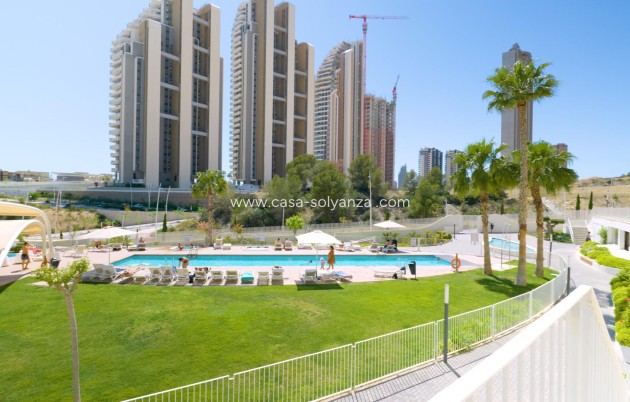 Wiederverkauf - Wohnung - Benidorm - Playa de Poniente