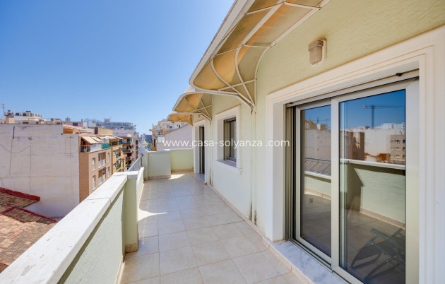 Resale - Apartment / flat - Torrevieja - Paseo Maritimo