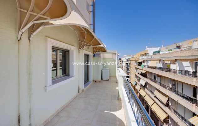 Resale - Apartment / flat - Torrevieja - Paseo Maritimo