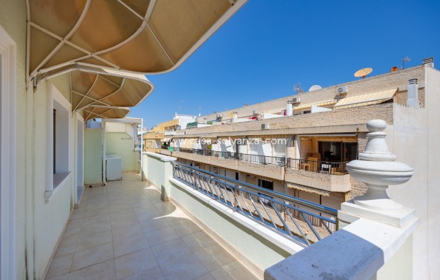 Resale - Apartment / flat - Torrevieja - Paseo Maritimo