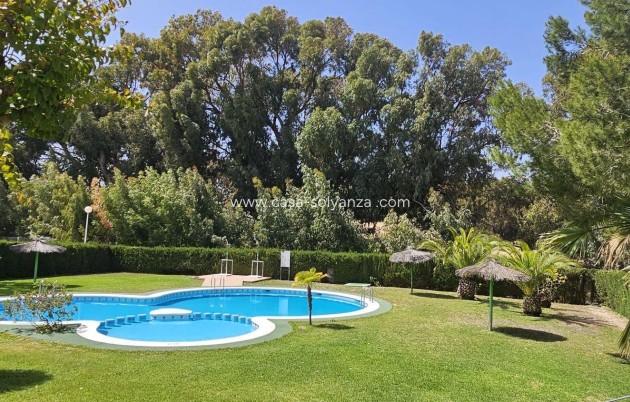 Revente - Maison de ville - Torrevieja - La Siesta
