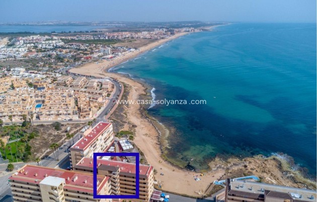 Revente - Appartement - Torrevieja - Cabo cervera