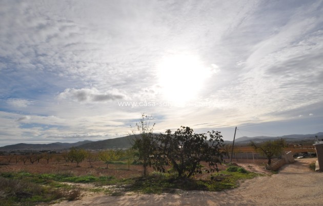 Resale - Country Property/Finca - Pinoso - Inland