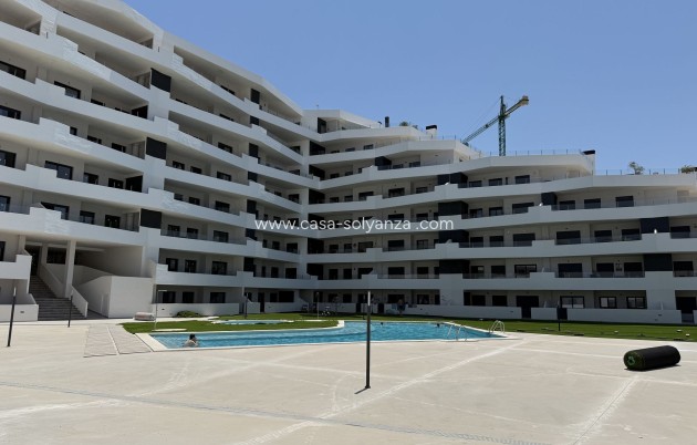 Resale - Apartment / flat - San Miguel de Salinas - Inland