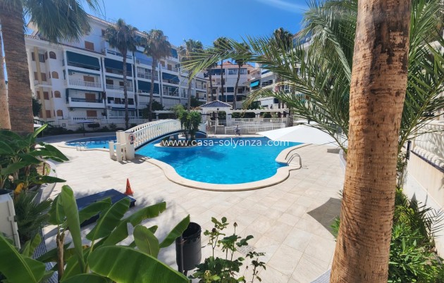 Resale - Apartment / flat - La Mata - Costa Blanca