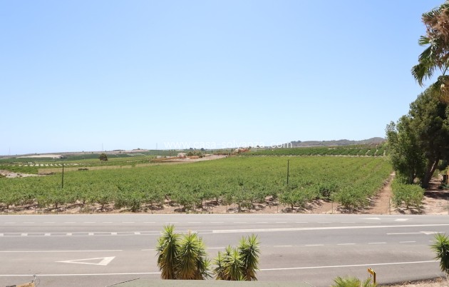 Resale - Commercial - San Miguel de Salinas - Inland