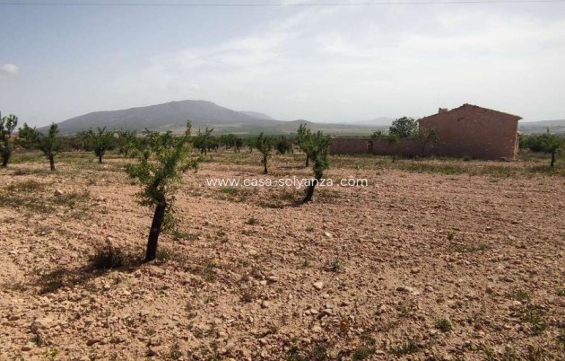 Reventa - Country Property/Finca - Pinoso