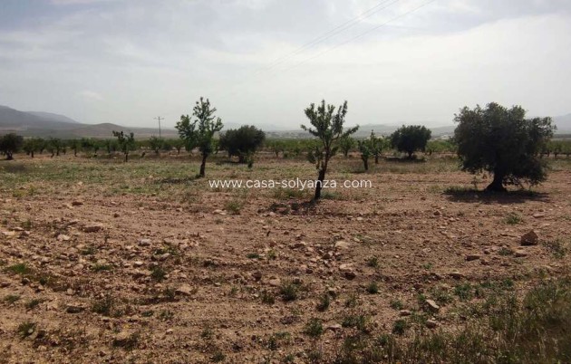 Reventa - Country Property/Finca - Pinoso