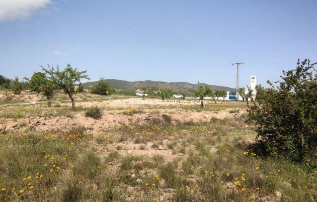 Reventa - Country Property/Finca - Pinoso