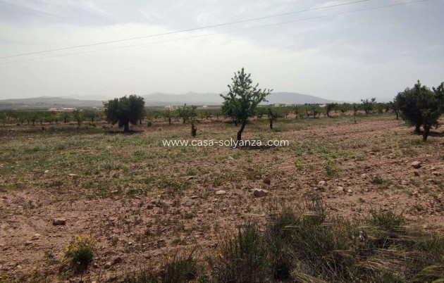Reventa - Country Property/Finca - Pinoso