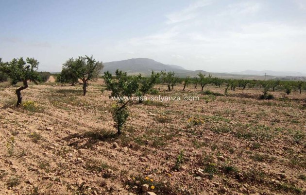 Reventa - Country Property/Finca - Pinoso