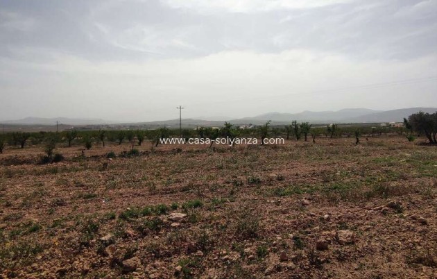 Reventa - Country Property/Finca - Pinoso
