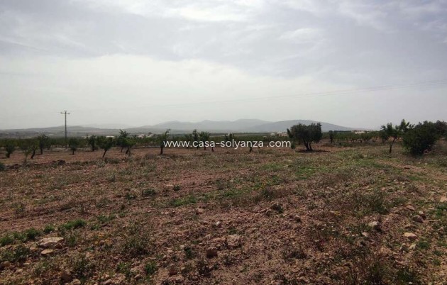 Reventa - Country Property/Finca - Pinoso