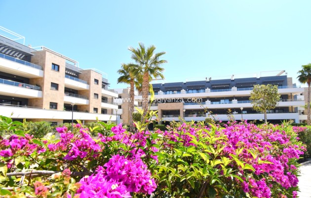 Resale - Apartment / flat - Orihuela Costa - Playa Flamenca