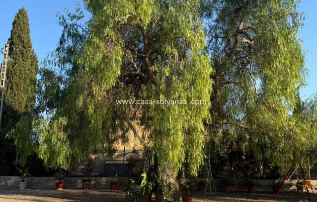 Resale - Villa - Albatera - Partida Lomas