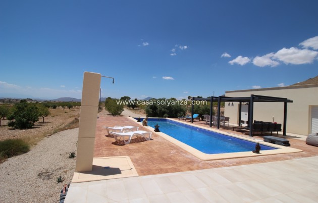 Resale - Villa - Macisvenda - Inland