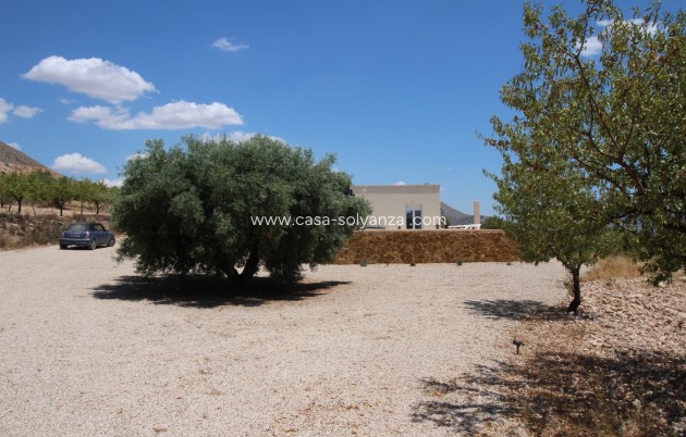 Resale - Villa - Macisvenda - Inland