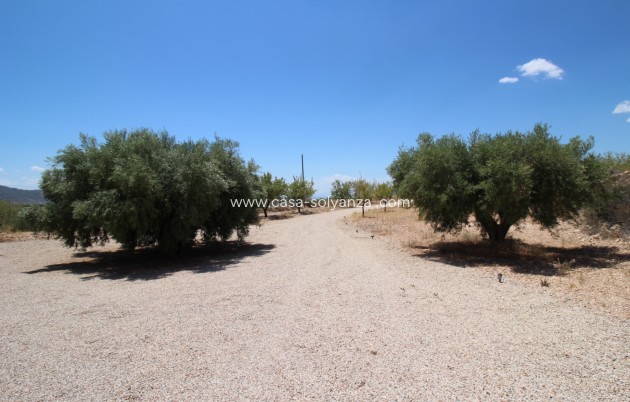 Resale - Villa - Macisvenda - Inland