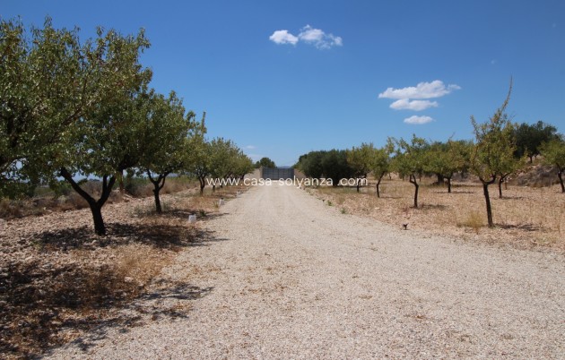 Resale - Villa - Macisvenda - Inland