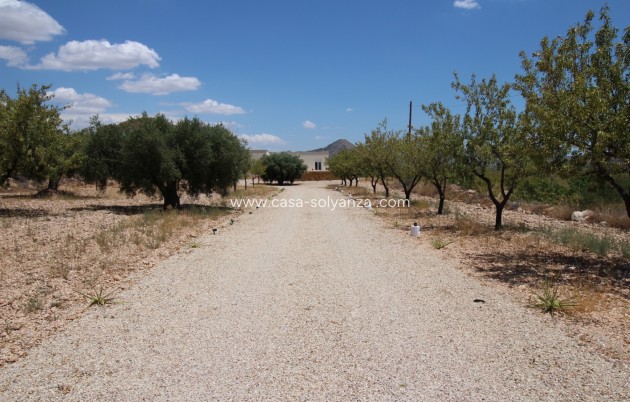 Resale - Villa - Macisvenda - Inland