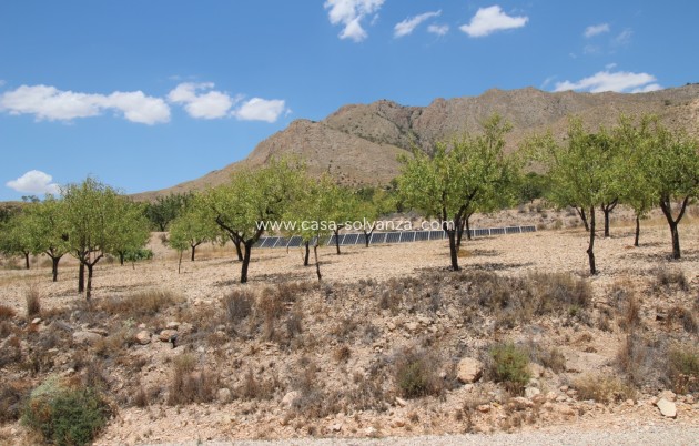 Resale - Villa - Macisvenda - Inland