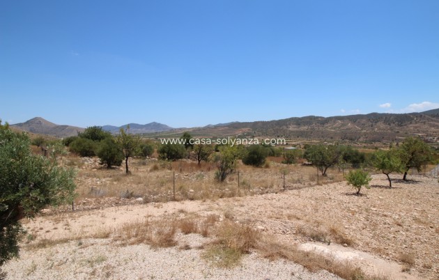 Resale - Villa - Macisvenda - Inland