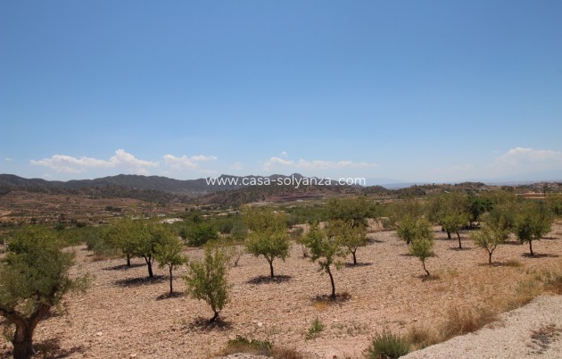 Resale - Villa - Macisvenda - Inland