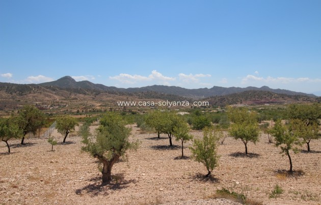 Resale - Villa - Macisvenda - Inland