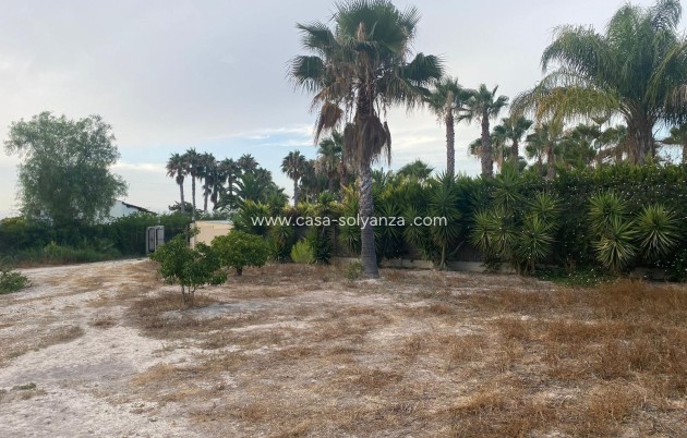 Revente - Villa - Benejuzar - Benejúzar
