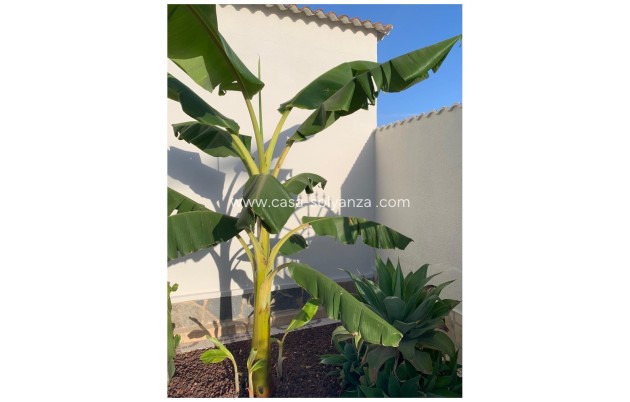 Resale - Villa / Detached - Ciudad Quesada - Quesada Center