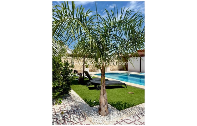 Resale - Villa / Detached - Ciudad Quesada - Quesada Center