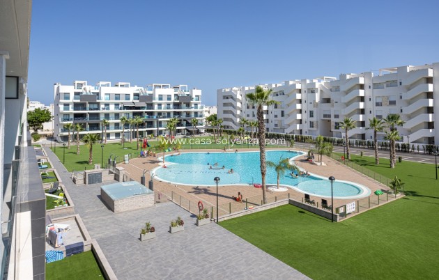 Resale - Apartment / flat - Guardamar del Segura - El Raso