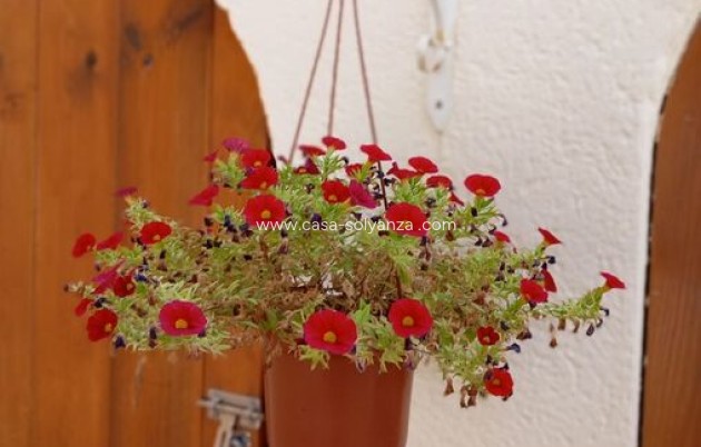 Resale - Villa - Villamartin - Costa Blanca