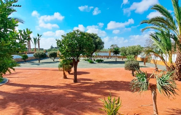 Resale - Country Property/Finca - Catral - Catral - Country