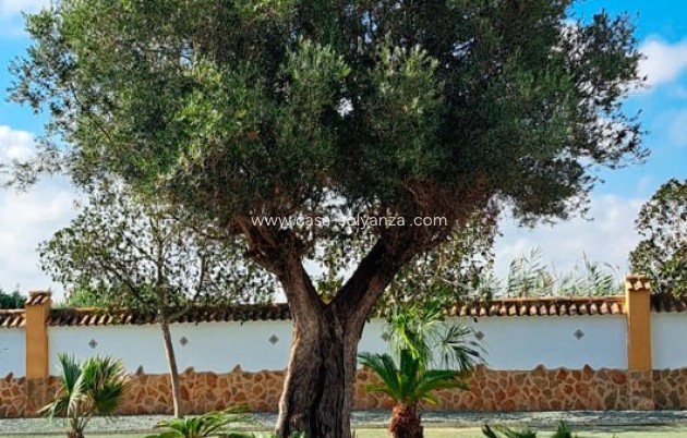 Resale - Country Property/Finca - Catral - Catral - Country