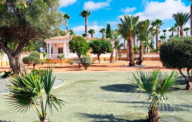 Resale - Country Property/Finca - Catral - Catral - Country
