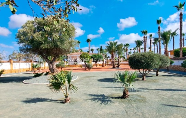 Resale - Country Property/Finca - Catral - Catral - Country