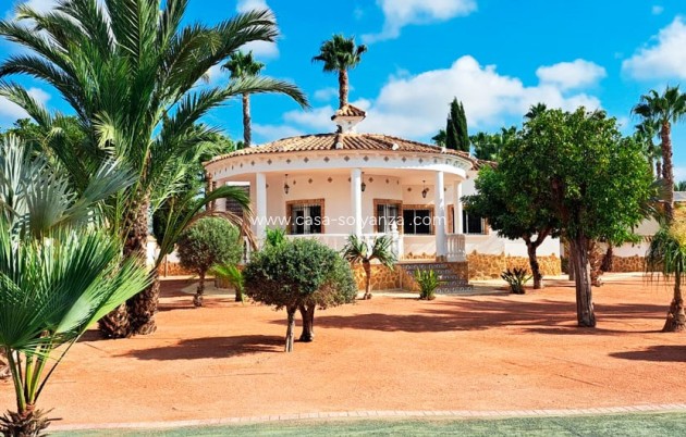 Resale - Country Property/Finca - Catral - Catral - Country