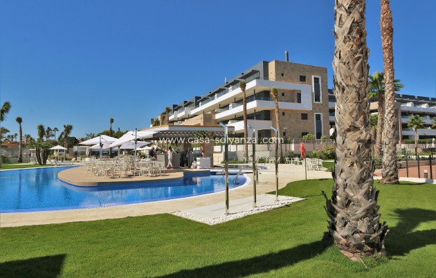 Resale - Apartment / flat - Playa Flamenca - Costa Blanca